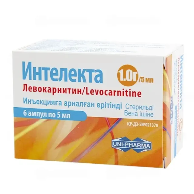 Интелекта 1г №6